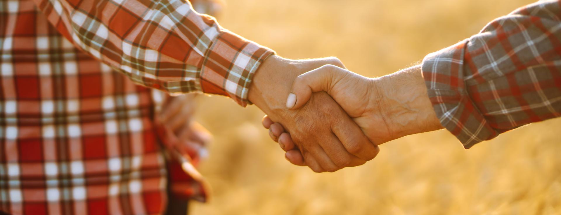 Charity of the Year 2025/26 - RABI