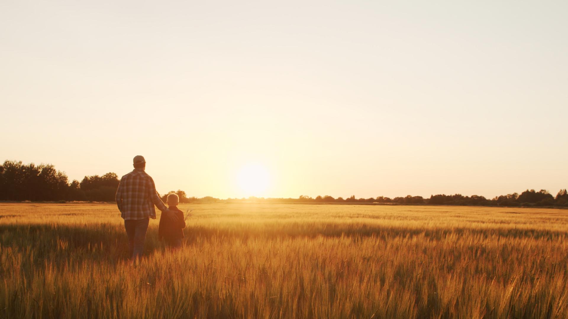 Draft Finance Bill Brings IHT Changes Into Focus for Landowners