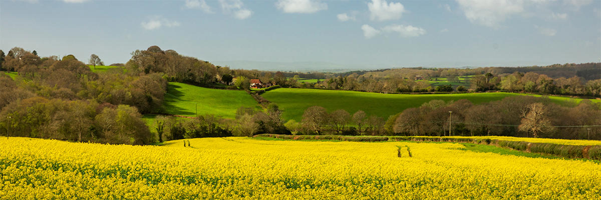 Quarterly Agricultural Update | January - March 2025