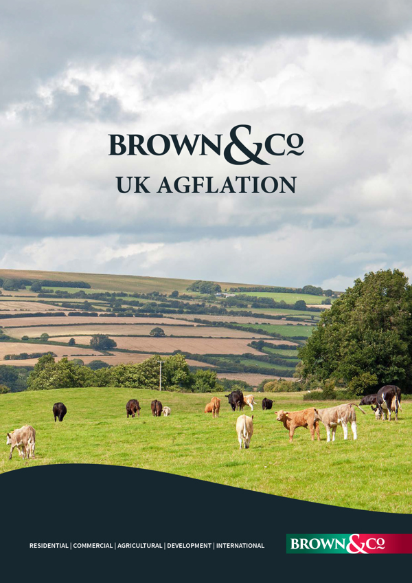 Download the PDF of Agflation