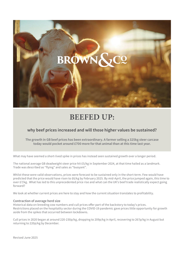 Download the PDF of Beef Market Update