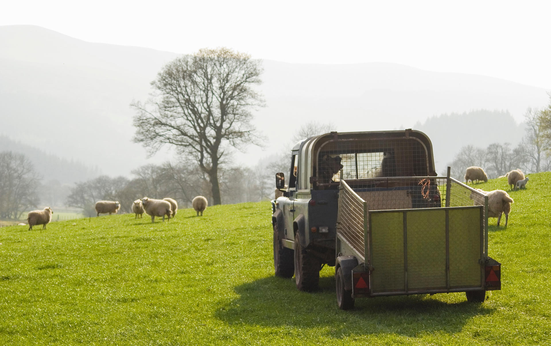 Government Commits £2.7 Billion Annually to Support Sustainable Farming and Nature Recovery