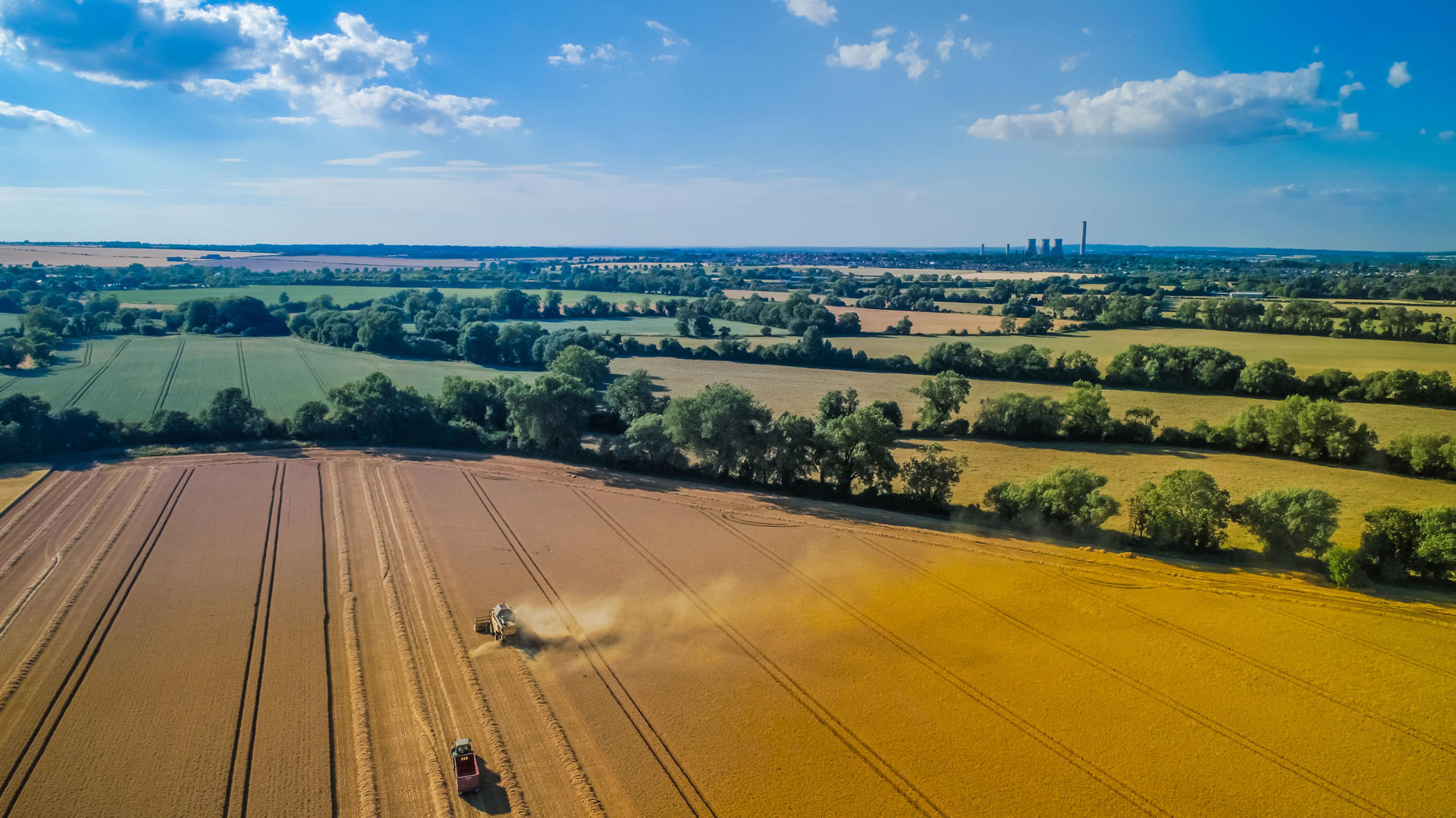 How Brown&Co delivered farmer support at scale to aid sector change