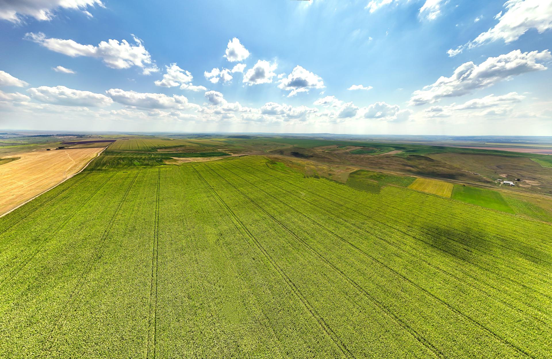 New collaboration sees Brown&Co increase its reach for clients